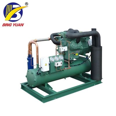 German Bitzer Cold Room Compressor Refrigeration Unit