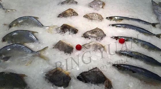 Ψυκτική μηχανή νιφάδων ικανότητας 30 τόνου καθημερινή, ενέργεια - αποταμίευση - αυτόματος κατασκευαστής πάγου